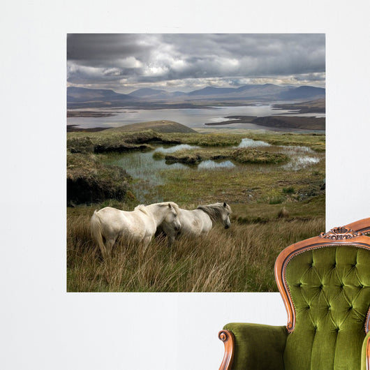 Irish Marsh Horses Wall Mural