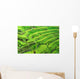 Amazing Rice Terrace field, Ubud, Bali,  Indonesia. Wall Mural