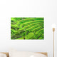 Amazing Rice Terrace field, Ubud, Bali,  Indonesia. Wall Mural
