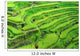 Amazing Rice Terrace field, Ubud, Bali,  Indonesia. Wall Mural
