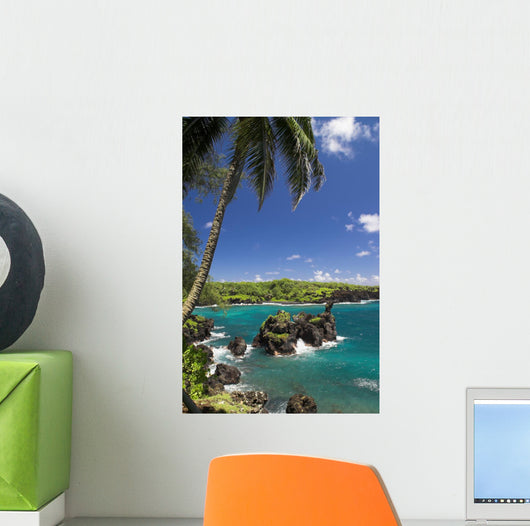 Black Beach Hana