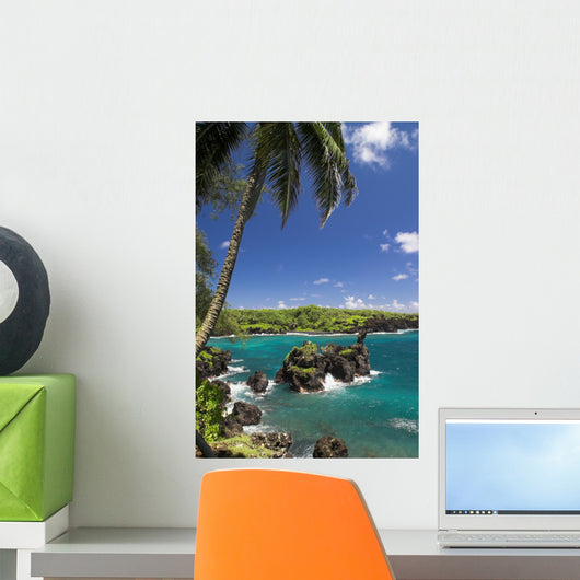Black Beach Hana
