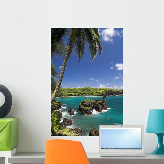Black Beach Hana