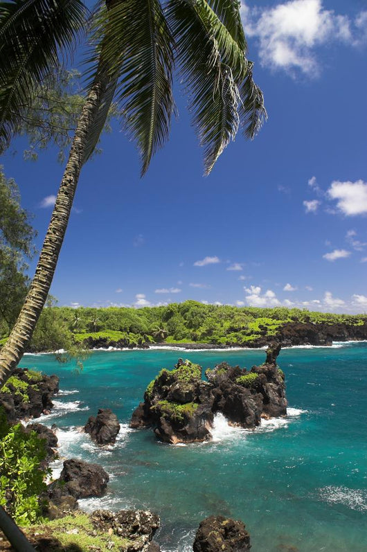 Black Beach Hana