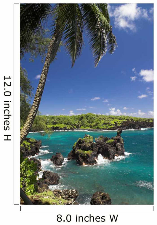 Black Beach Hana