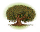 Oak Tree Wall Decal