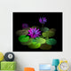 Digital Painting Lake with