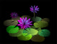 Digital Painting Lake with