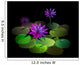 Digital Painting Lake with