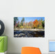 Swift River Wall Mural