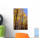 Wood In Autumn Wall Mural