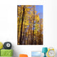 Wood In Autumn Wall Mural