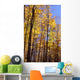 Wood In Autumn Wall Mural