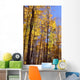 Wood In Autumn Wall Mural