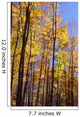 Wood In Autumn Wall Mural
