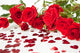 Red Roses and Hearts Wall Mural