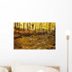 Stream In Autumn Wall Mural