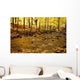 Stream In Autumn Wall Mural