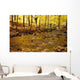 Stream In Autumn Wall Mural