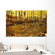Stream In Autumn Wall Mural