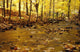 Stream In Autumn Wall Mural