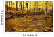 Stream In Autumn Wall Mural