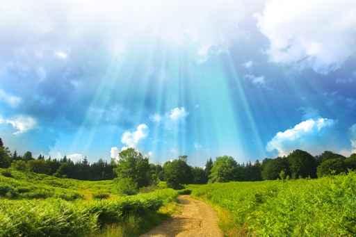 Perfect Summer Sky over Wall Decal