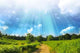 Perfect Summer Sky over Wall Decal