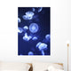 Jellyfish At L'oceanographic Aquarium Wall Mural