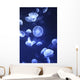 Jellyfish At L'oceanographic Aquarium Wall Mural