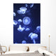 Jellyfish At L'oceanographic Aquarium Wall Mural