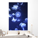 Jellyfish At L'oceanographic Aquarium Wall Mural