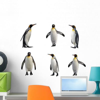 Six Emperor Penguins Wall Decal Sticker Set shown on a wall