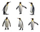 Six Emperor Penguins Wall Decal Sticker Set