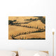 Cypress Tree Lined Road Wall Mural