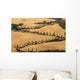Cypress Tree Lined Road Wall Mural