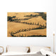 Cypress Tree Lined Road Wall Mural