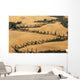 Cypress Tree Lined Road Wall Mural