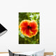 Brightly Colored Hibiscus Flowers Wall Mural
