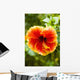 Brightly Colored Hibiscus Flowers Wall Mural