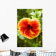Brightly Colored Hibiscus Flowers Wall Mural