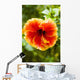 Brightly Colored Hibiscus Flowers Wall Mural