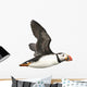 Flying Atlantic Puffin Wall Decal