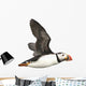 Flying Atlantic Puffin Wall Decal