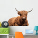 Scottish Cow Wall Decal