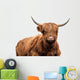 Scottish Cow Wall Decal