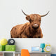 Scottish Cow Wall Decal