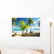 Caribbean Sea and Coconut