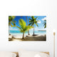Caribbean Sea and Coconut
