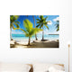 Caribbean Sea and Coconut